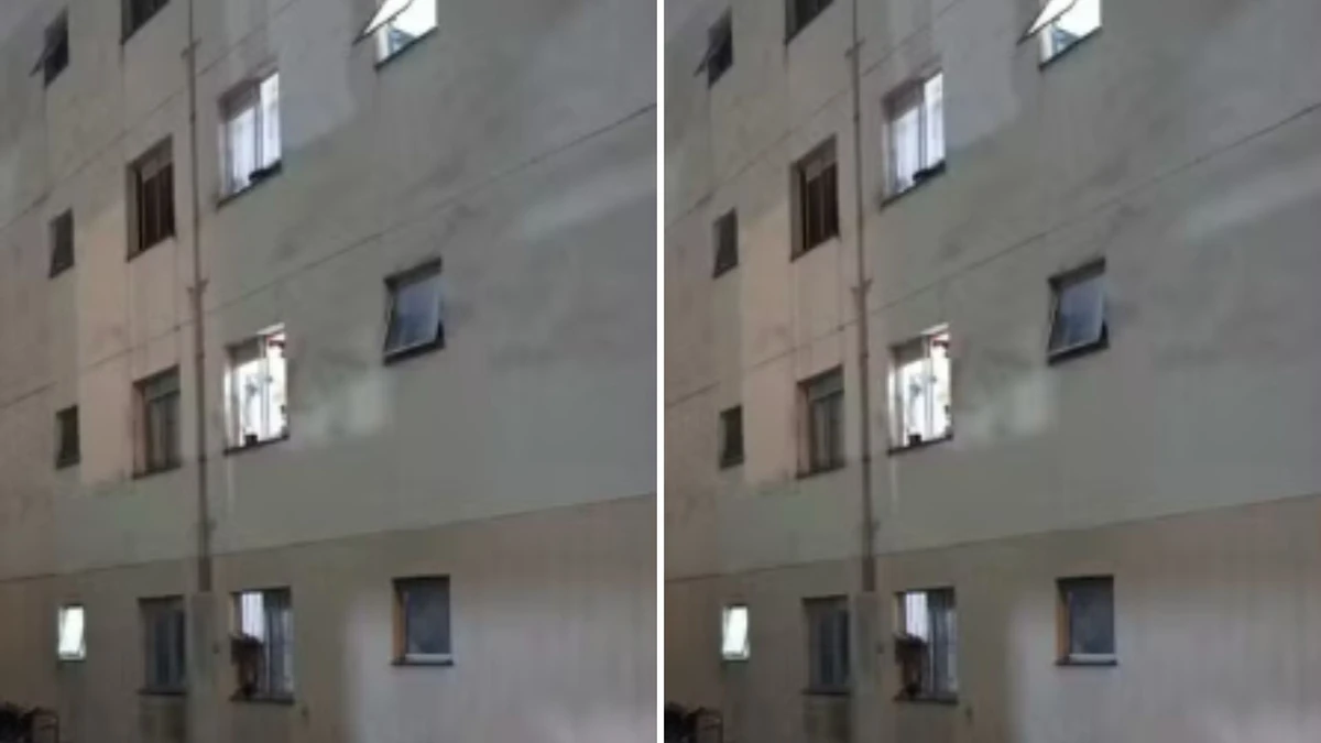 Caso foi registrado na cidade de Suzano, no interior de São Paulo