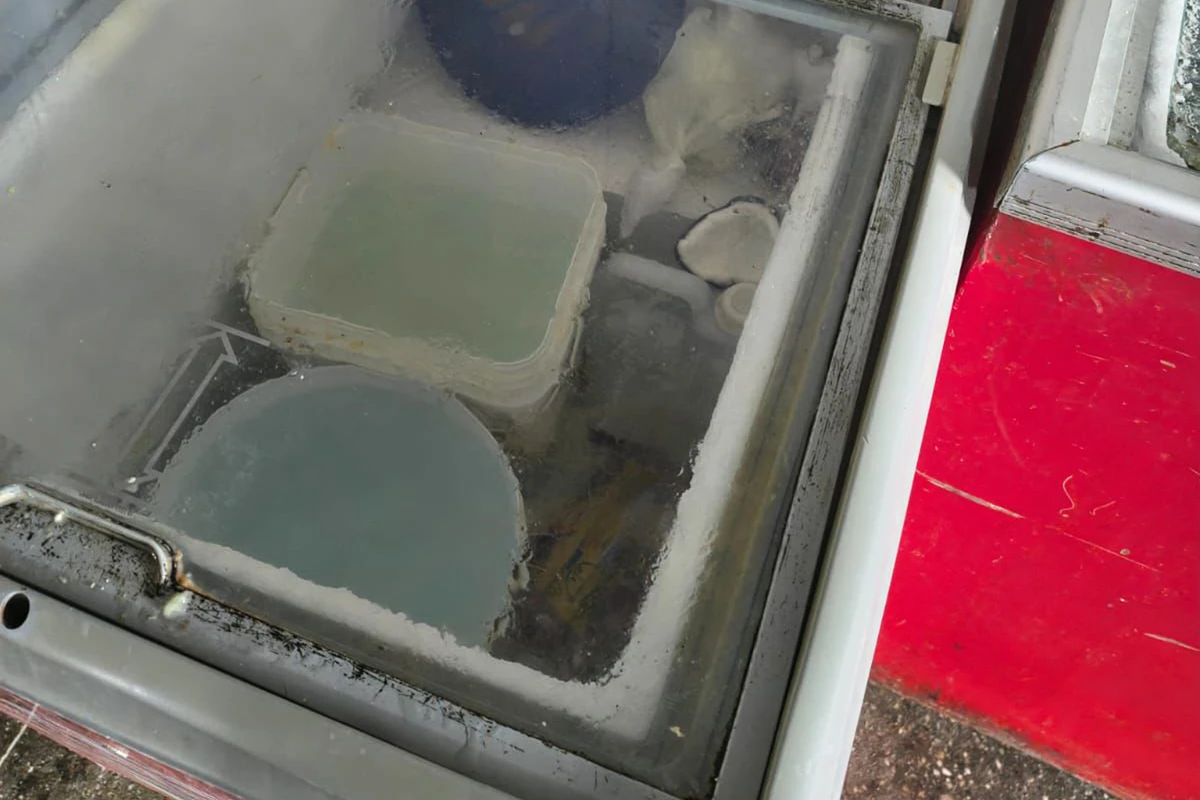 Delicatessen de Feira de Santana foi interditada por Reprodução