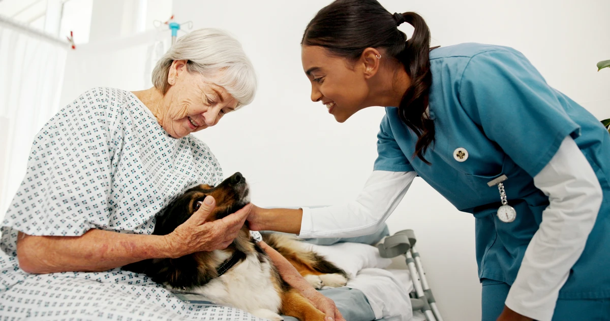 Nova lei autoriza entrada de animais de estimação em hospitais de Salvador