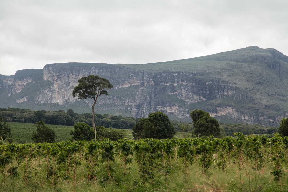Feira Literária de Ibicoara (Flibic) por Luiza D'El Rei/Divulgação