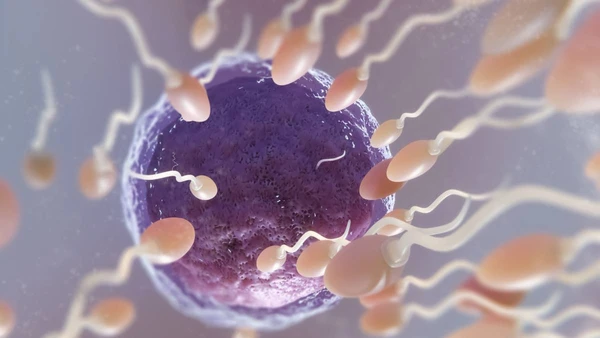 Estudos mostram que gerar vida fora da Terra é possível — mas cheio de desafios científicos