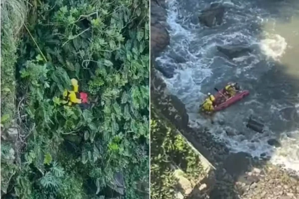 Homem se joga de precipício de quase 90 metros para escapar de ataque de abelhas