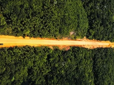 Imagem - BR-319 volta ao centro do debate com nova obra e reacende impasse na Amazônia
