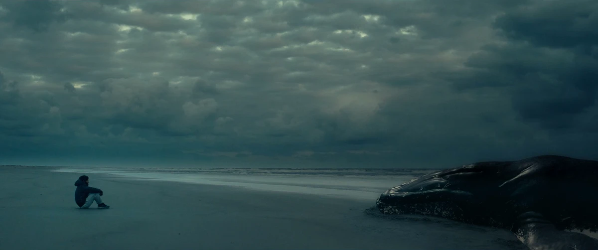 Barba ensopada de sangue estreia nesta quinta-feira (2) nos cinemas brasileiros por Divulgação