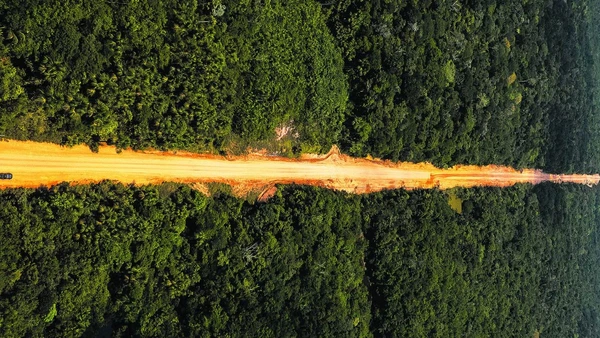 BR-319: entre a floresta e o asfalto, o desafio de integrar a Amazônia sem destruir o verde