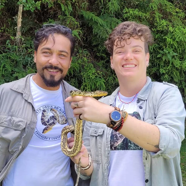 Filhote da jiboia mais rara do mundo é encontrado em São Paulo por Divulgação