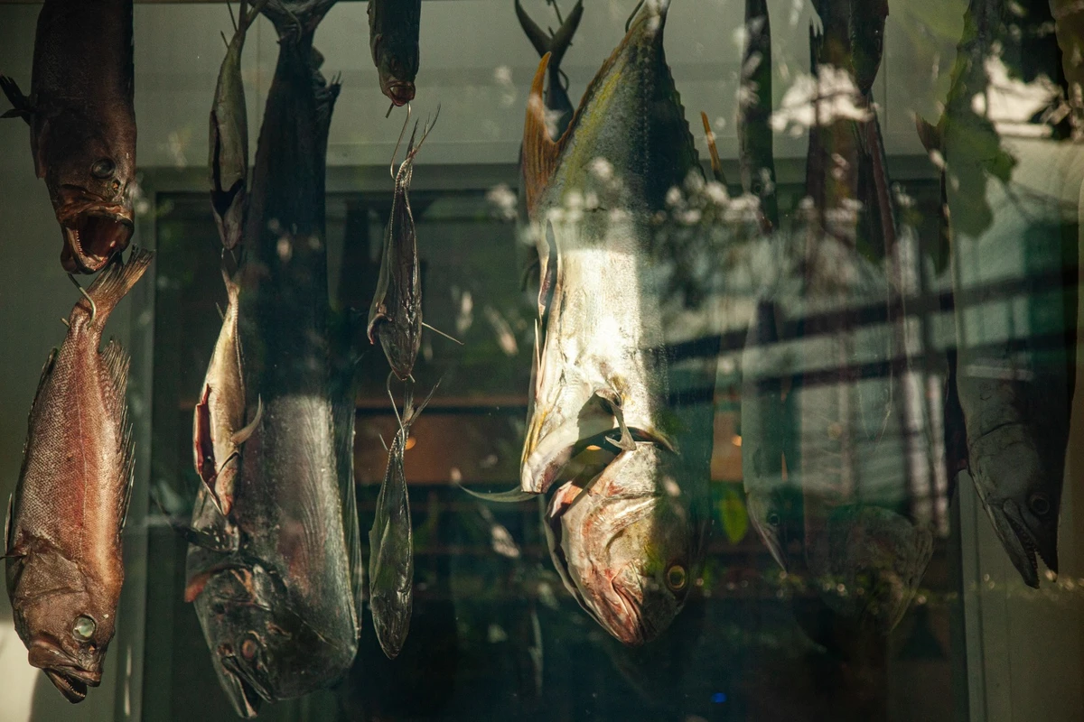 Kaywa Hilton e a arte de levar poesia ao pescado da Bahia por Sora Maia