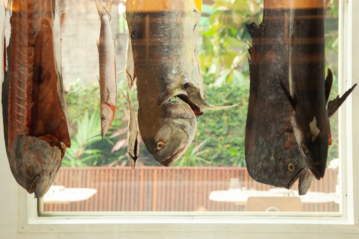 Kaywa Hilton e a arte de levar poesia ao pescado da Bahia por Sora Maia