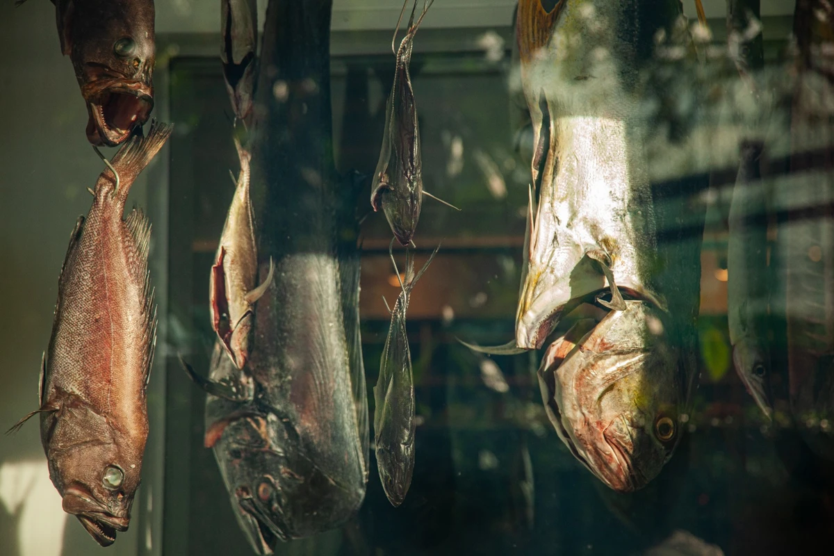 Kaywa Hilton e a arte de levar poesia ao pescado da Bahia por Sora Maia