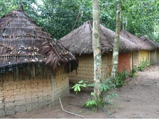 Imagem - Grupo armado ataca aldeia indígena na Bahia; pais da líder da tribo estão entre reféns