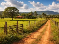 Imagem - Briga de herdeiros por fazenda: processo mais antigo da Bahia vira 'novela' e é concluído após quase 40 anos