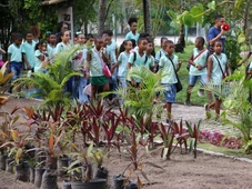 Imagem - Ilha de Itaparica recebe iniciativa de promoção de ciência cidadã e educação ambiental prática