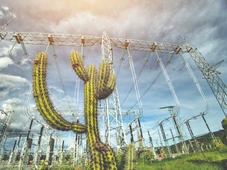 Imagem - Governo convoca Neoenergia para renovar concessão da Coelba por mais 30 anos