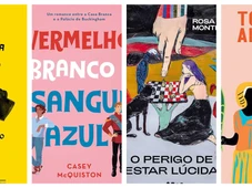 Imagem - Veja 10 títulos imperdíveis para pegar emprestado no MEC Livros