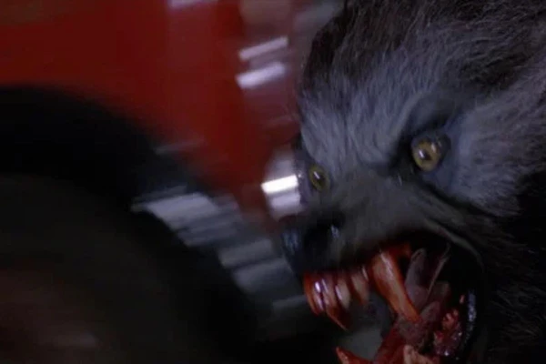 Um Lobisomem Americano em Londres (1981) por Reprodução