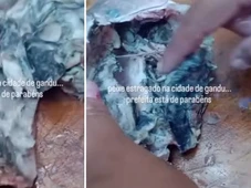 Imagem - Prefeitura na Bahia distribui peixe estragado e refaz entrega após denúncias de moradores