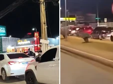 Imagem - Inauguração de McDonald's em cidade baiana causa congestionamento no trânsito; veja