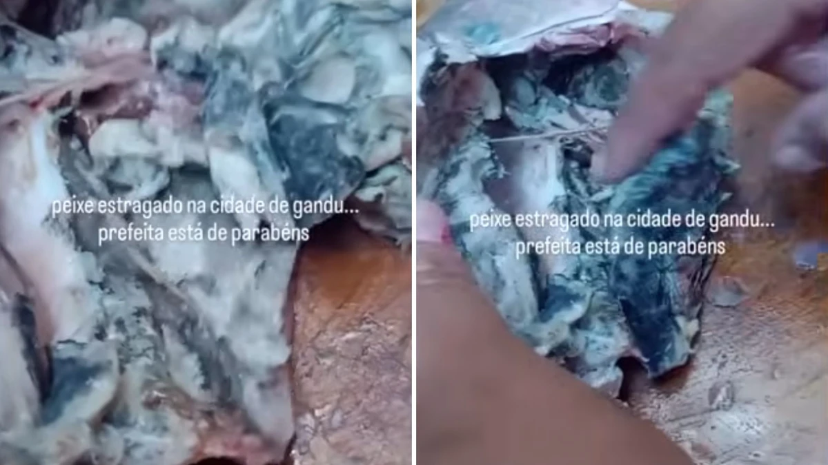 Moradores denunciaram condições do peixe dna cidade 