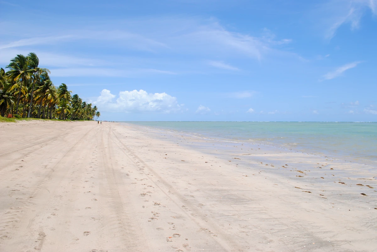 Patacho preserva o ritmo de uma vila de pescadores por Wikimedia Commons/Reprodução