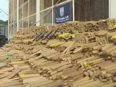 Imagem - Cães farejadores da PM apreendem 50 toneladas de maconha em bunker no Complexo da Maré