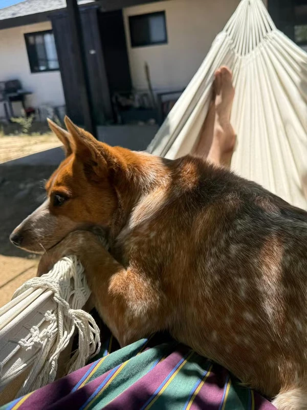 Casa no deserto da Califórnia vira refúgio de descanso de Marco Pigossi e Marco Calvani durante temporada nos EUA por Reprodução/Instagram