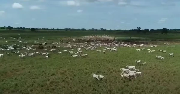 Fazendas de Amado Batista por Reprodução/Redes Sociais 