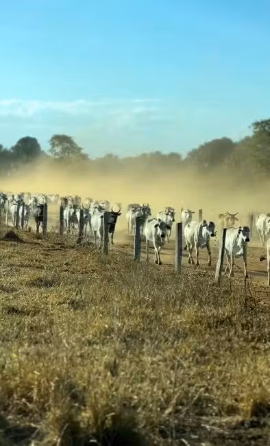 Fazendas de Amado Batista por Reprodução/Redes Sociais 