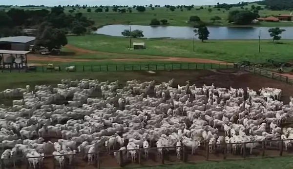 Fazendas de Amado Batista por Reprodução/Redes Sociais 