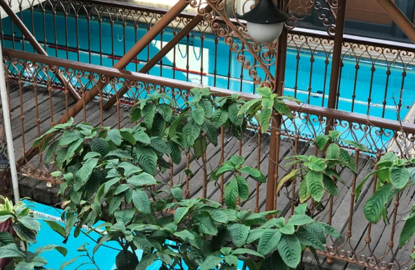 Villa Forma por Villa Forma