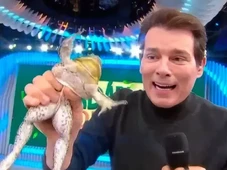 Imagem - Celso Portiolli é investigado após cena bizarra de rã em liquidificador; veja vídeo