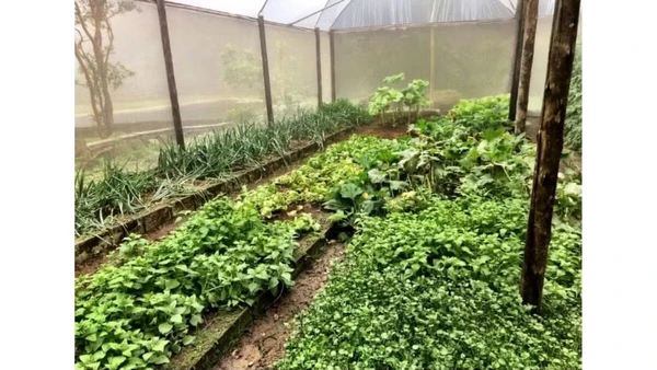 Horta do ator por Reprodução/Redes Sociais 