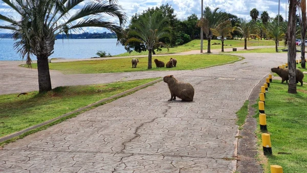 Conheça a capital brasileira que lidera a riqueza nacional e virou refúgio de bem-estar por Wikipedia / Wikimedia Commons