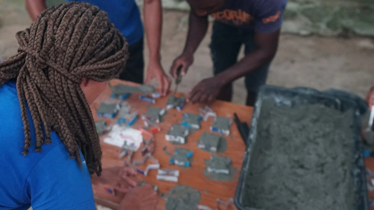 Projeto Mares abre inscrições para curso gratuito de restauração de corais na Ilha de Itaparica; aulas começam em 29 de maio