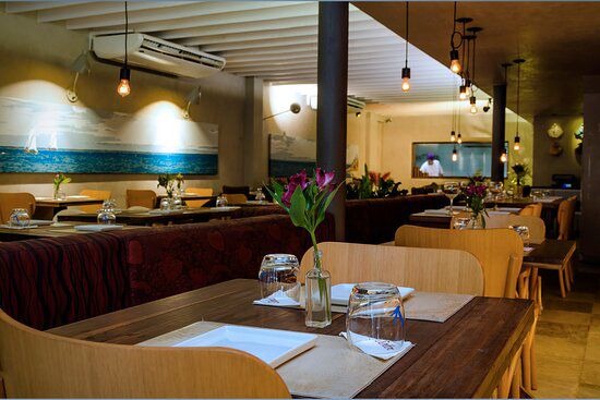 Solar Gastronomia por Reprodução