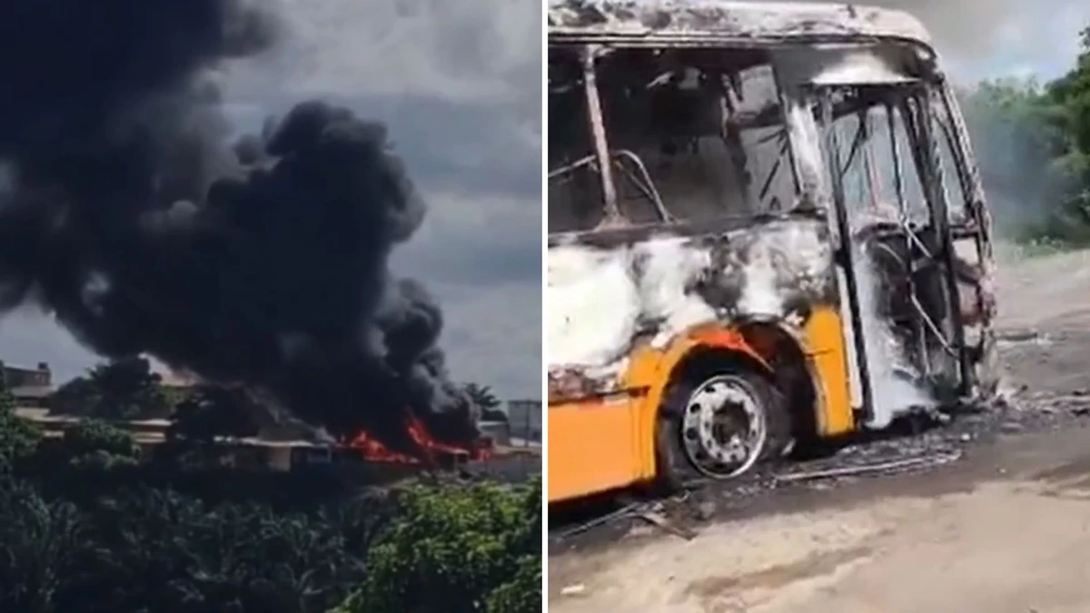 Ônibus ficaram destruídos após incêndio em garagem
