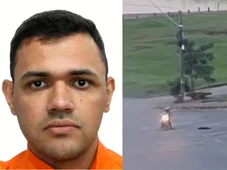 Imagem - Bombeiro mata cachorro com tiro após ter pernas arranhadas em 'ataque'