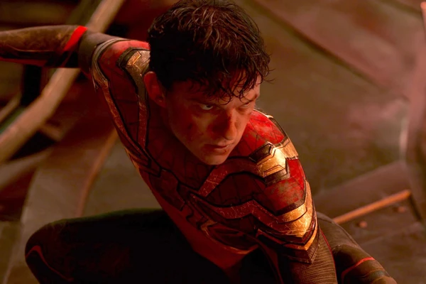 Homem-Aranha: Sem Volta para Casa (2021) por Reprodução