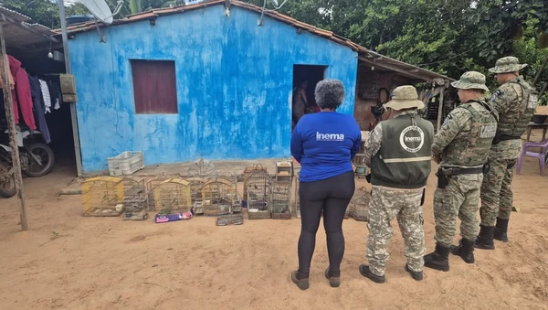 Mais de 100 aves silvestres são resgatadas de cativeiros na Bahia por Divulgação