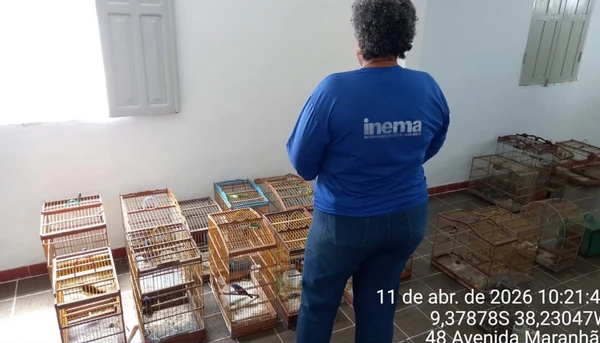 Mais de 100 aves silvestres são resgatadas de cativeiros na Bahia por Divulgação