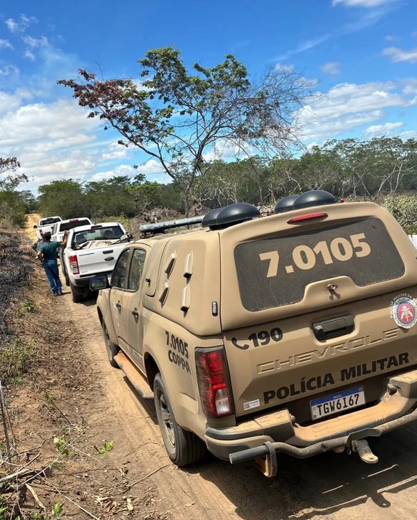 Mais de 100 aves silvestres são resgatadas de cativeiros na Bahia por Divulgação