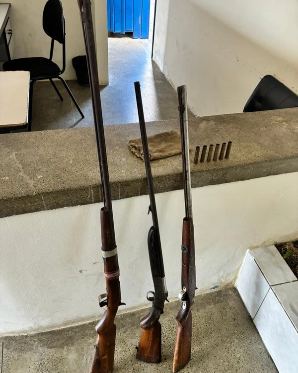 Mais de 100 aves silvestres são resgatadas de cativeiros na Bahia por Divulgação