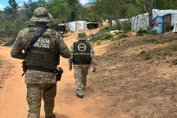 Mais de 100 aves silvestres são resgatadas de cativeiros na Bahia por Divulgação