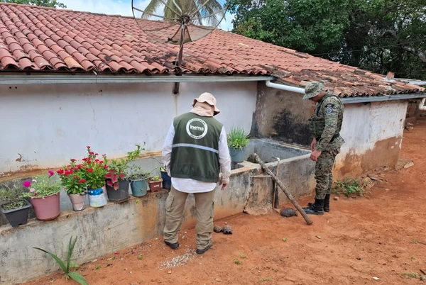 Mais de 100 aves silvestres são resgatadas de cativeiros na Bahia por Divulgação