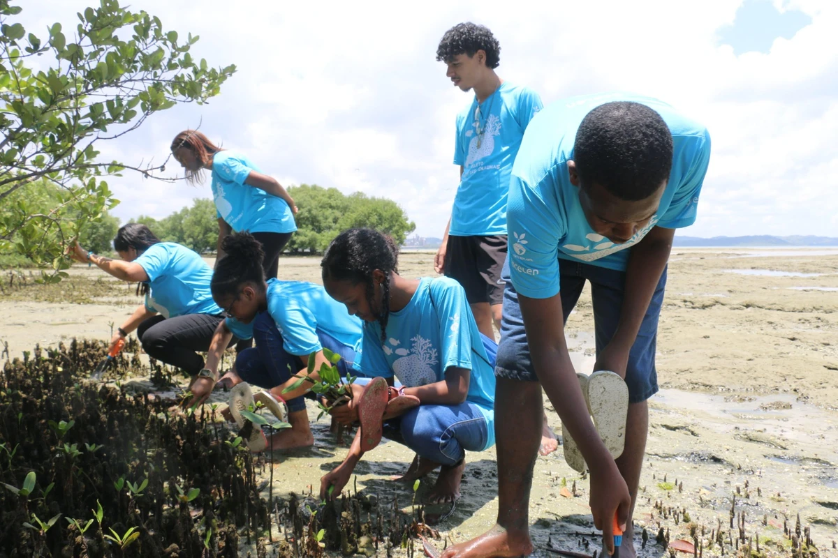 O foco está em projetos que promovam o desenvolvimento sustentável e o fortalecimento das comunidades nos territórios de atuação das empresas