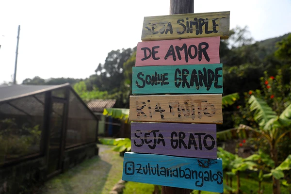 Paulo Zulu por Reprodução