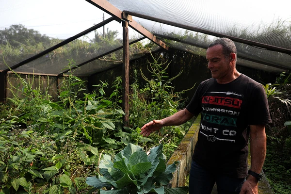 Paulo Zulu por Reprodução