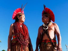 Imagem - MAC Bahia recebe "Ocupação Origem" com foco em arte e economia indígena