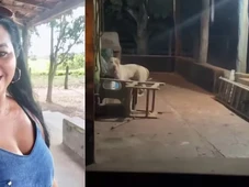 Imagem - Mulher morre atacada pelo próprio pitbull ao dar banho no animal