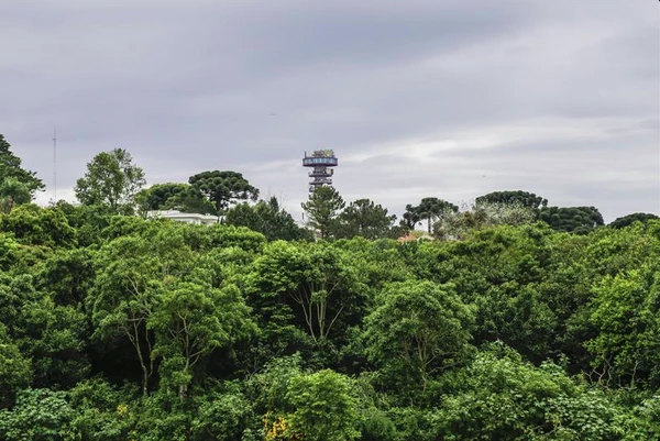Curitiba por Reprodução