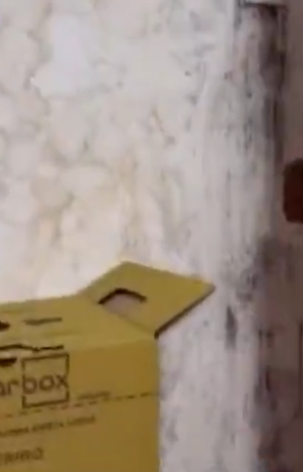 Fiscalização encontrou irregularidades sanitárias e na prestação de serviços por Reprodução